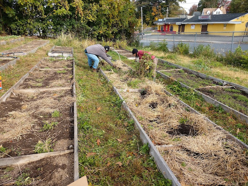 Reservoir Community Farm photo 4