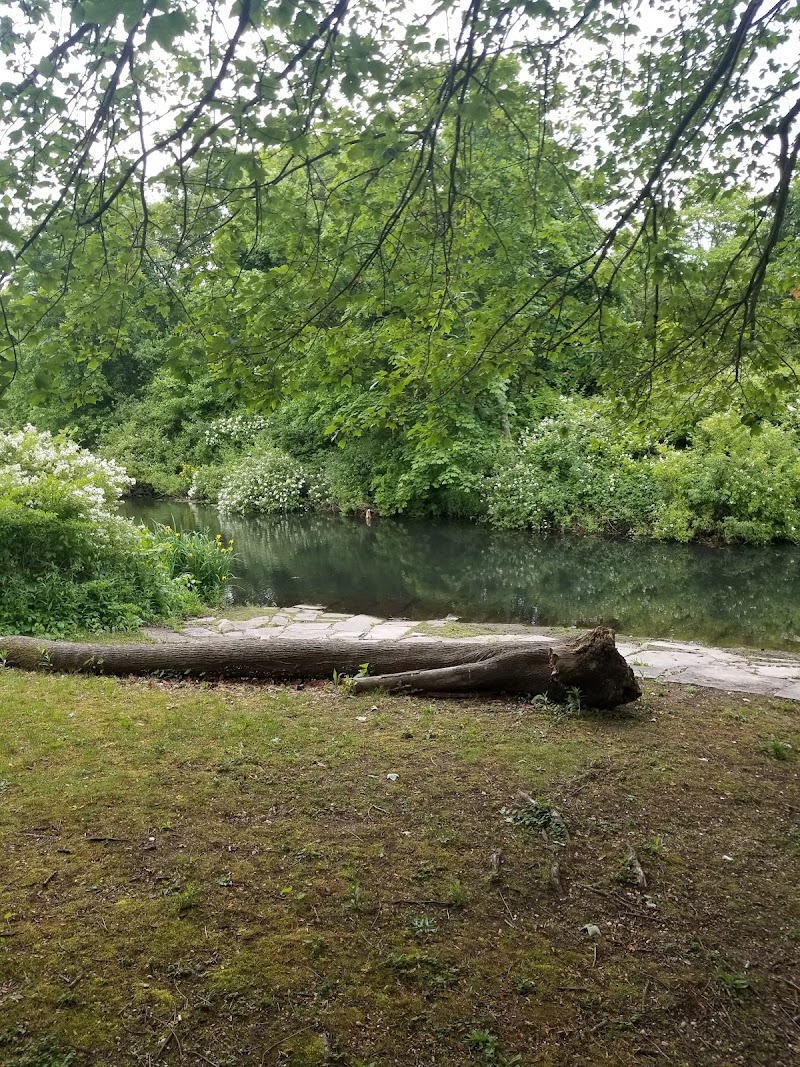 Reverend Arthur Mackey Park photo 2