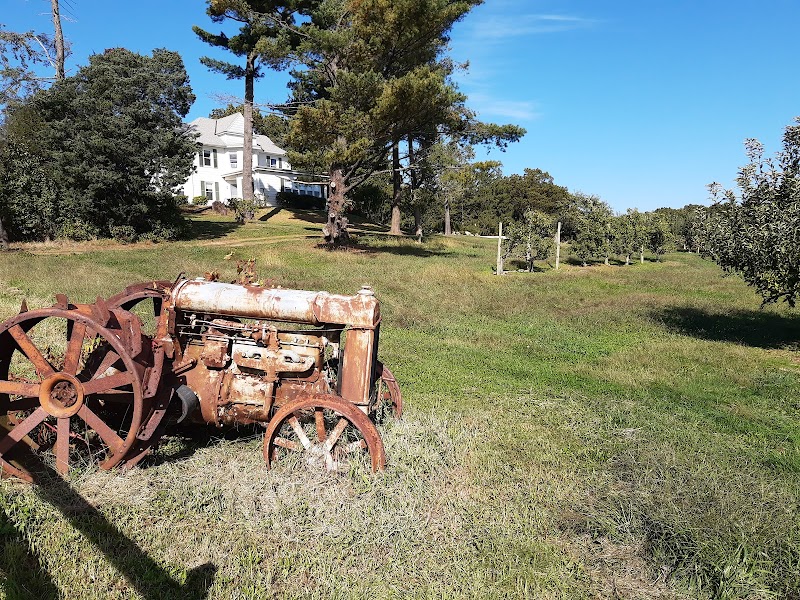 Richters Orchard photo 4