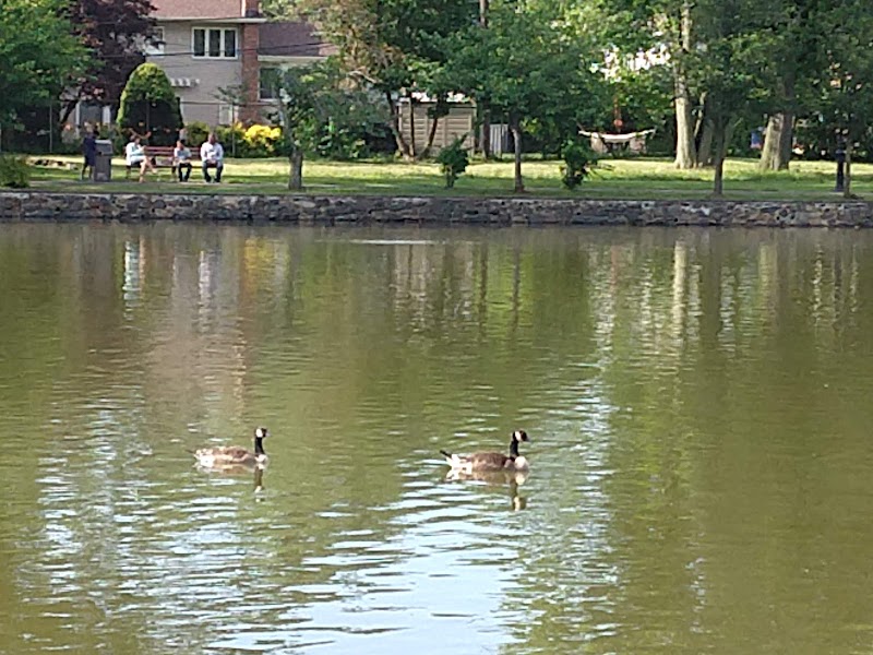 Ridder's Pond Park photo 3