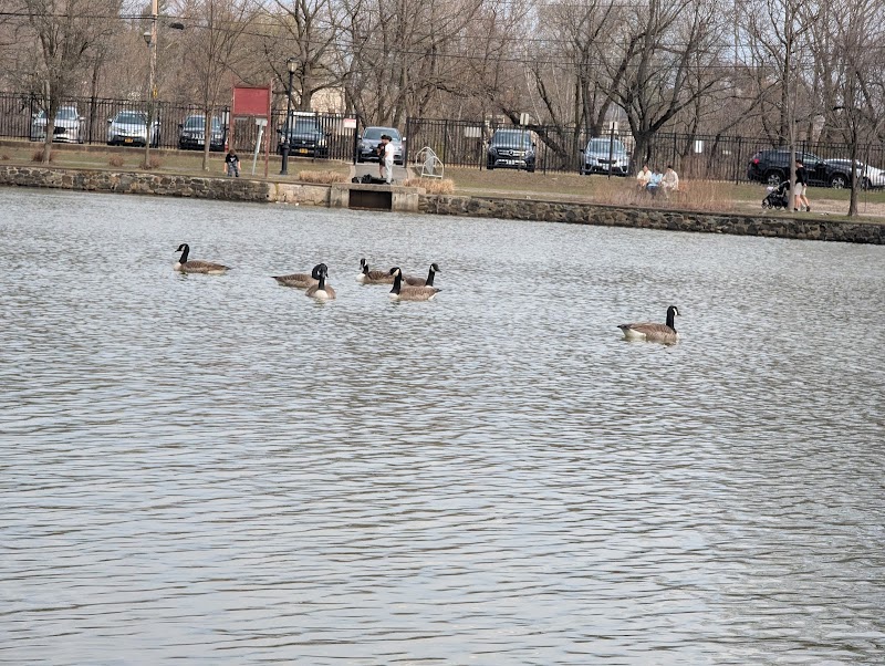 Ridder's Pond Park photo 5