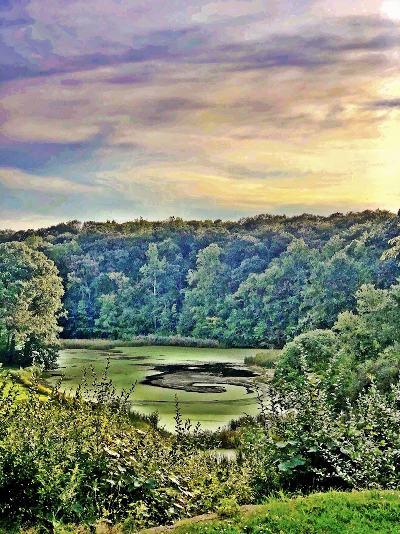 Ridgefield Golf Course photo 4