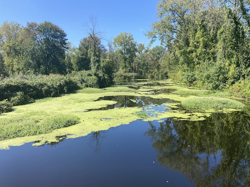 Ridgefield Parks & Recreation photo 4