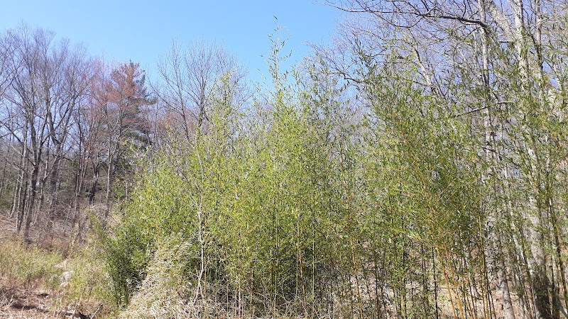 Ridgefield Rail Trail