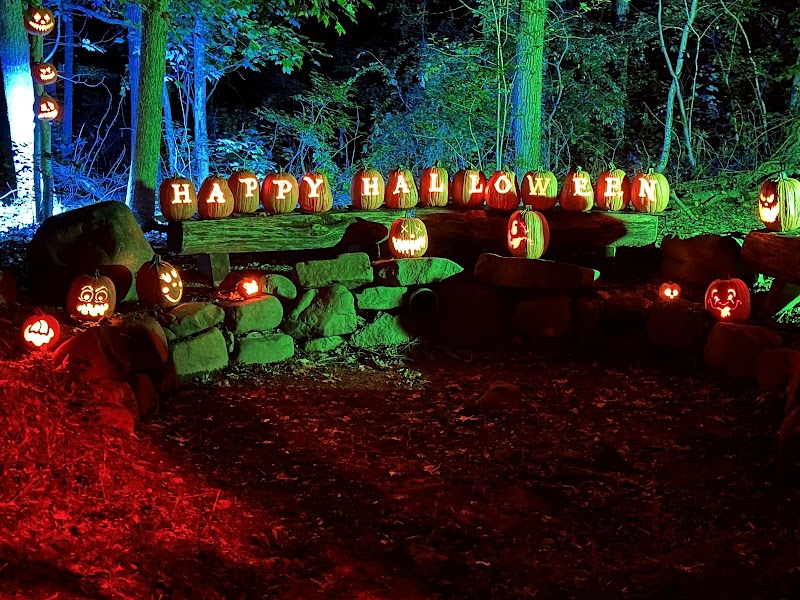 RISE of the Jack O'Lanterns photo 1