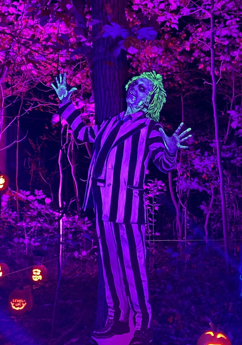RISE of the Jack O'Lanterns photo 5