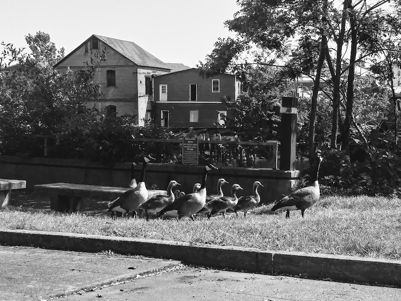 Riverfront Park photo 5