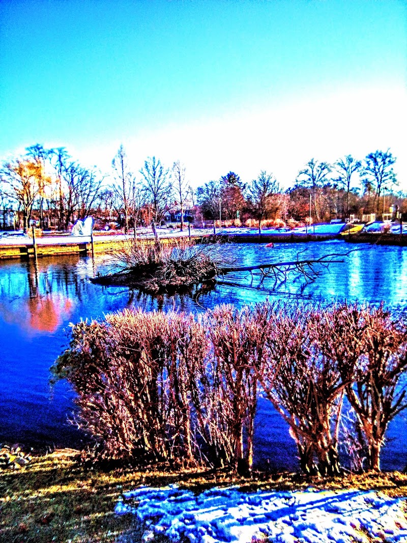 Riverhead Recreation Department photo 3