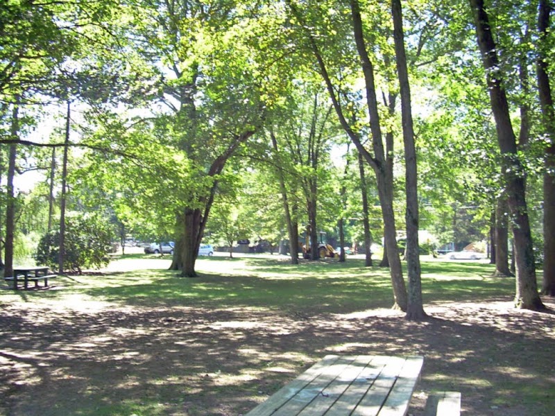 Riverside Park photo 4