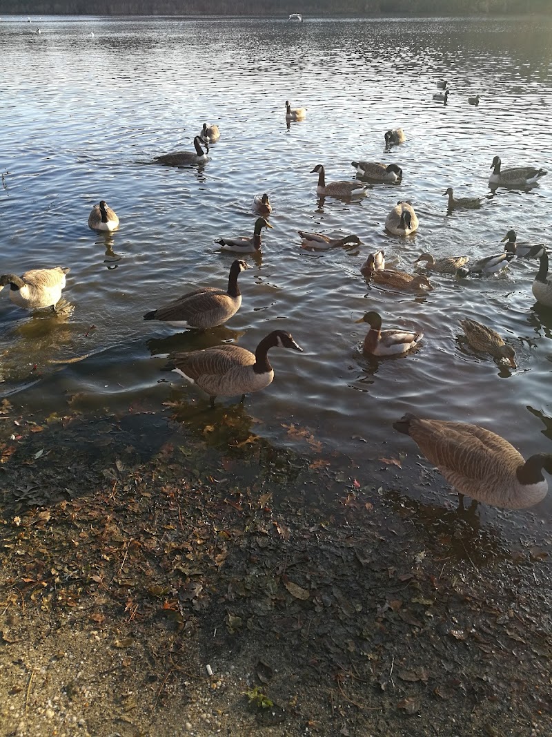 Robert A. Brady Park photo 2