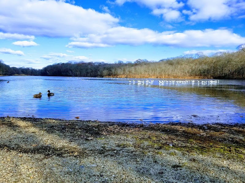 Robert A. Brady Park photo 3
