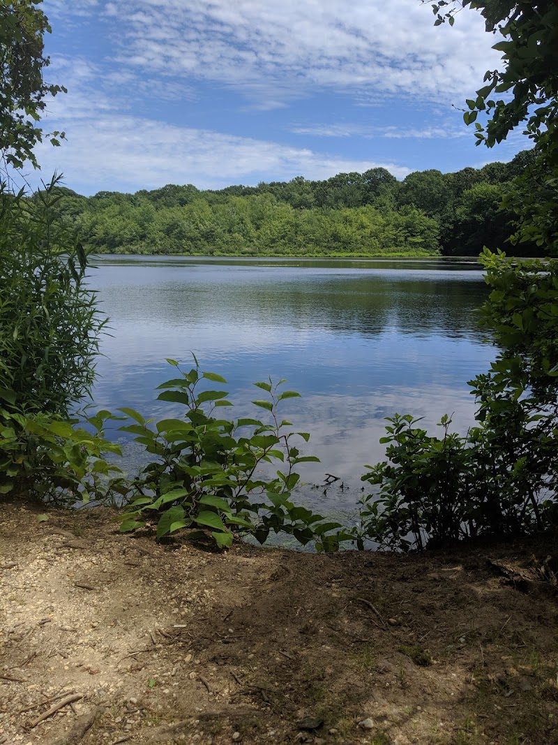 Robert A. Brady Park photo 5