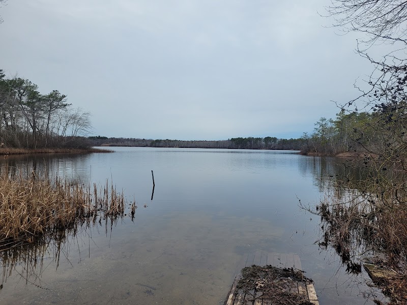 Robert Cushman Murphy County Park photo 2