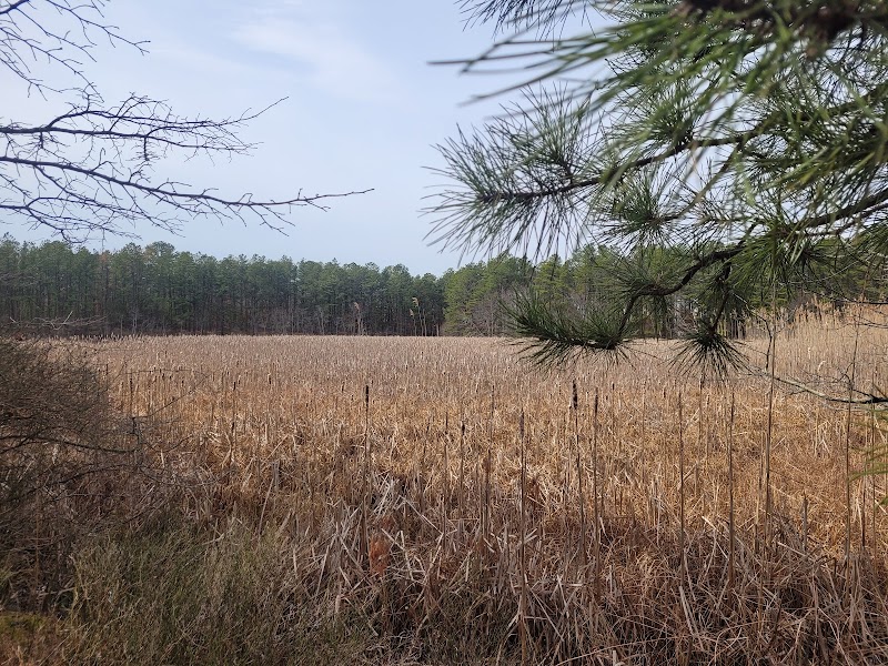 Robert Cushman Murphy County Park photo 4