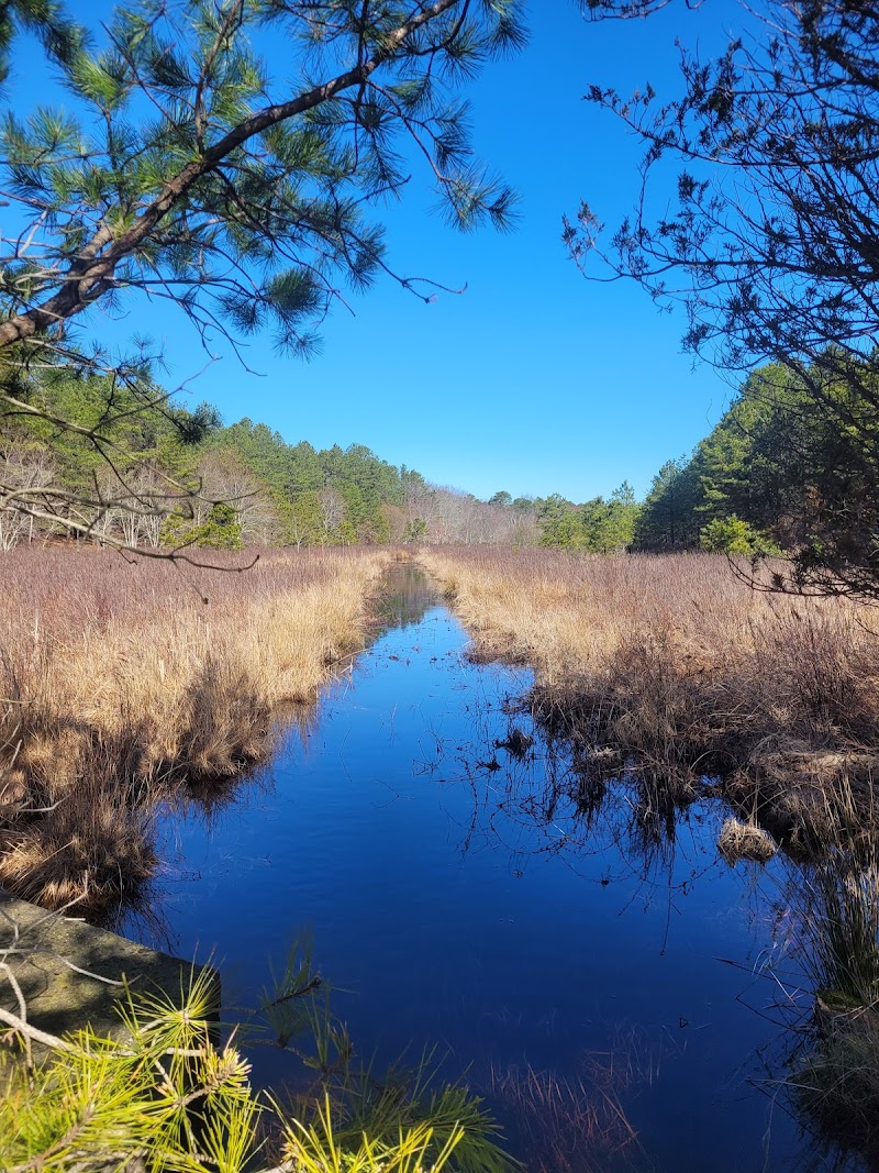 Robert Cushman Murphy County Park photo 5