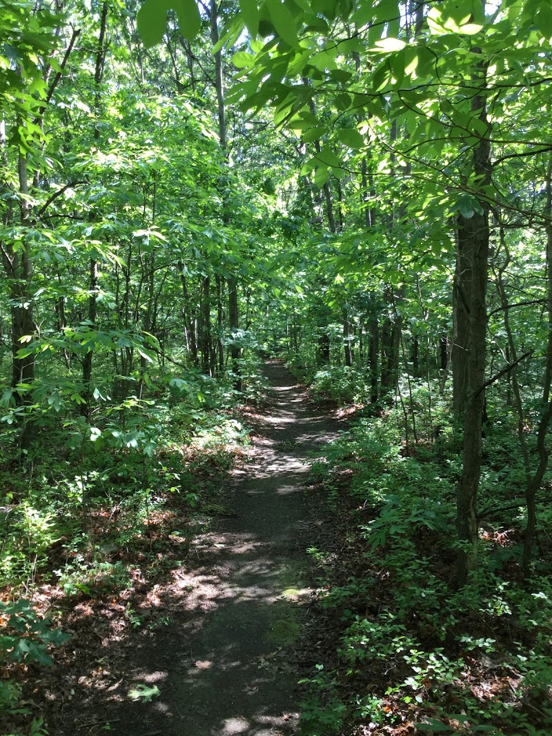 Robert J. Henke Nature Preserve Passive Park photo 4