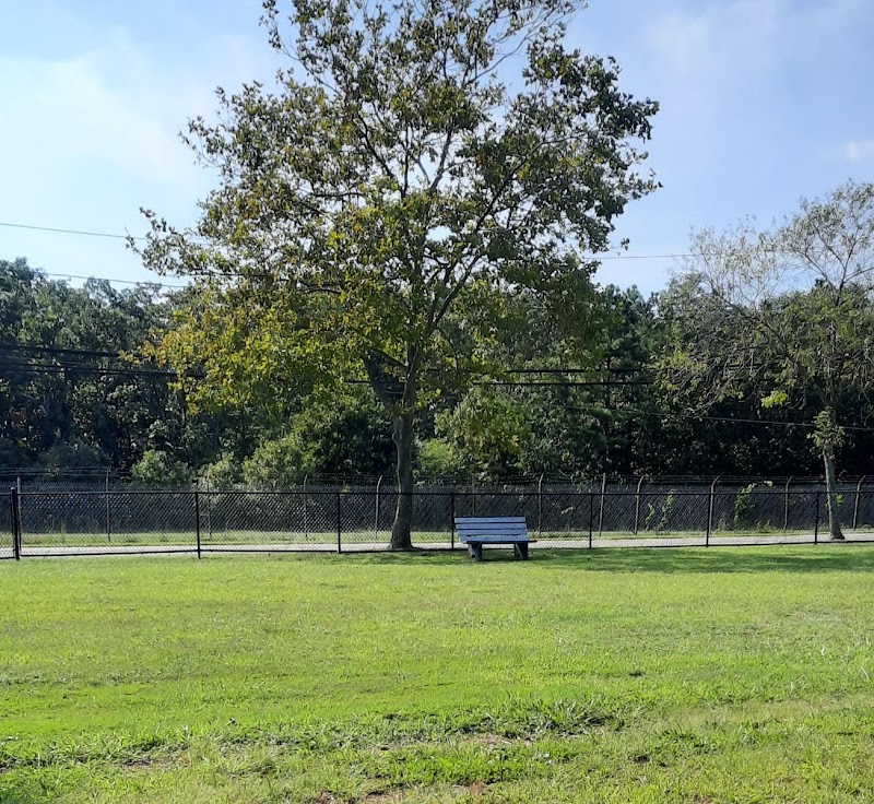 Roberts Street Park photo 2