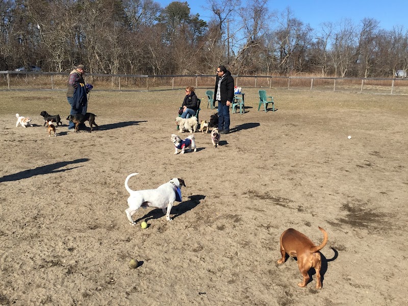 Robinson Duck Farm Dog Park photo 3