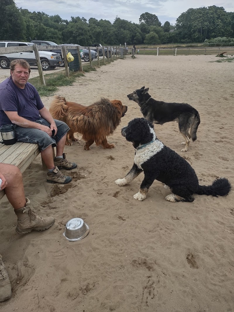 Robinson Duck Farm Dog Park photo 5
