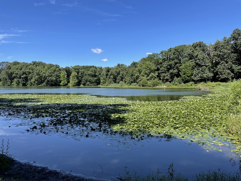 Rockefeller State Park Preserve photo 3