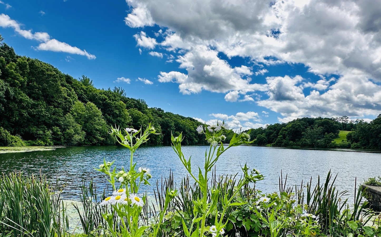 Rockefeller State Park photo 2