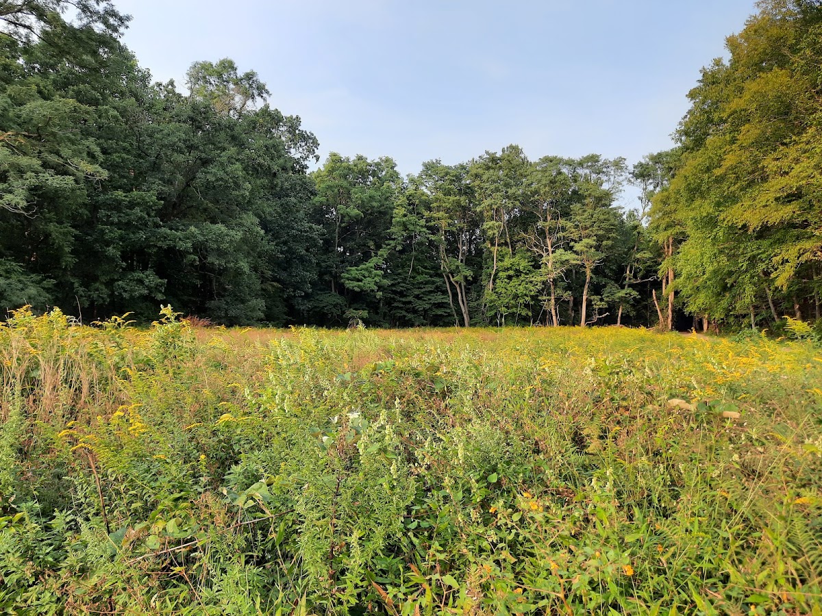 Rockefeller State Park photo 3