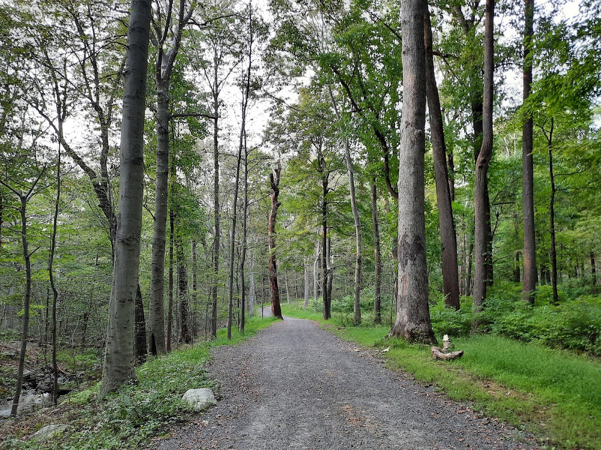 Rockefeller State Park photo 5