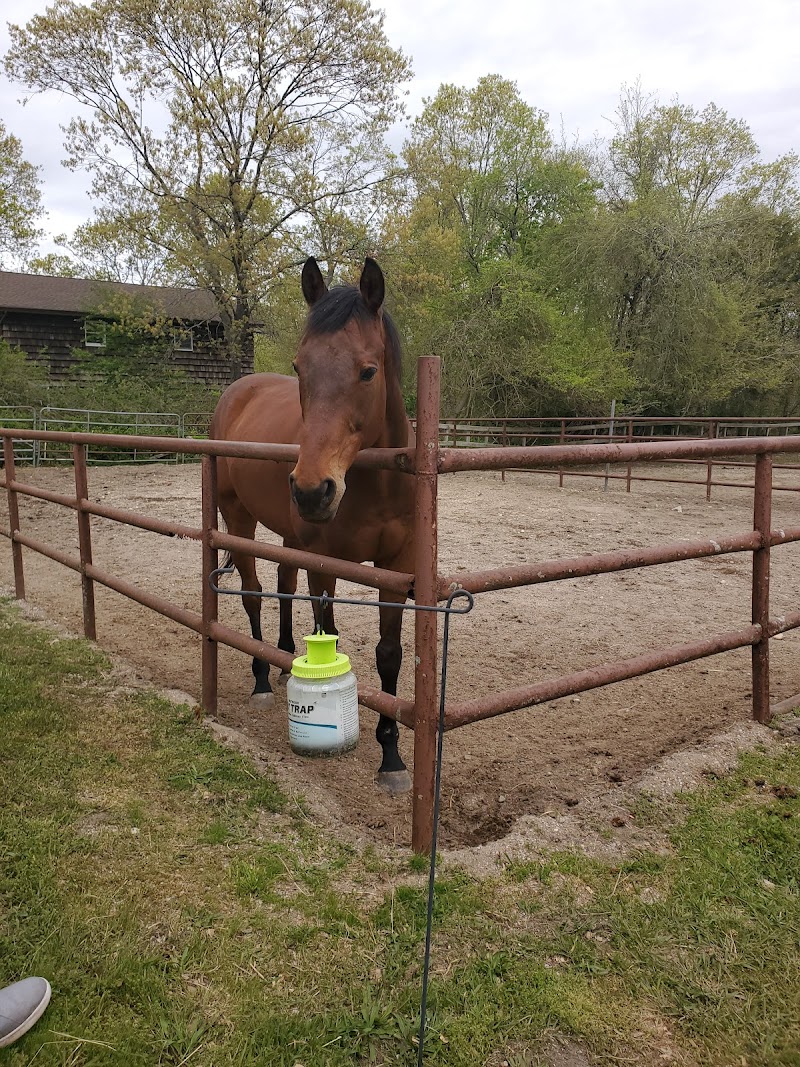 Rocking Horse Farms photo 2