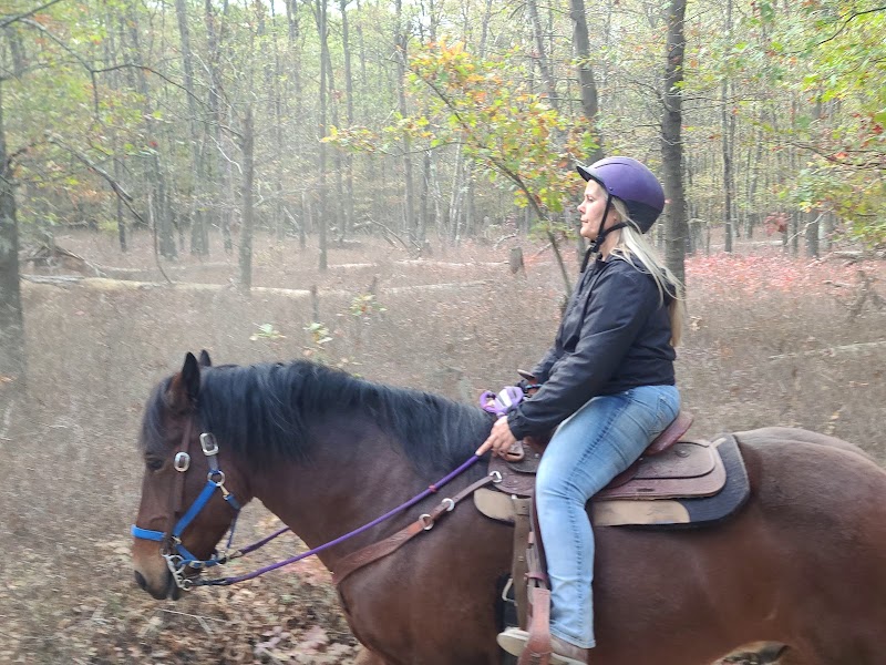 Rocking Horse Farms photo 4