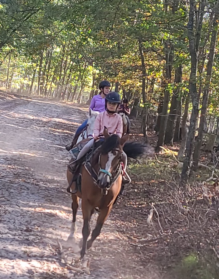 Rocking Horse Farms photo 5
