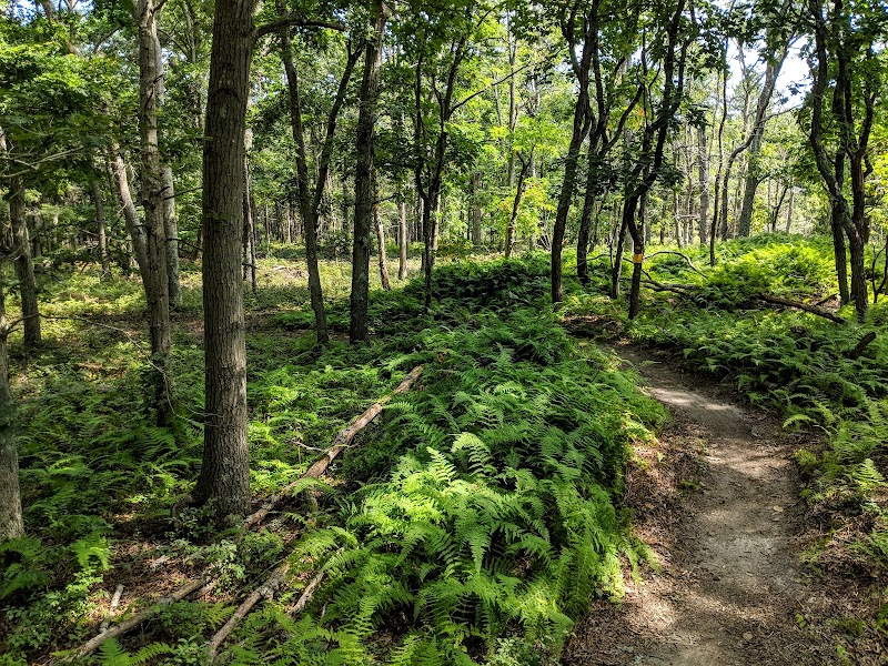 Rocky Point Mountain Bike Trail photo 2