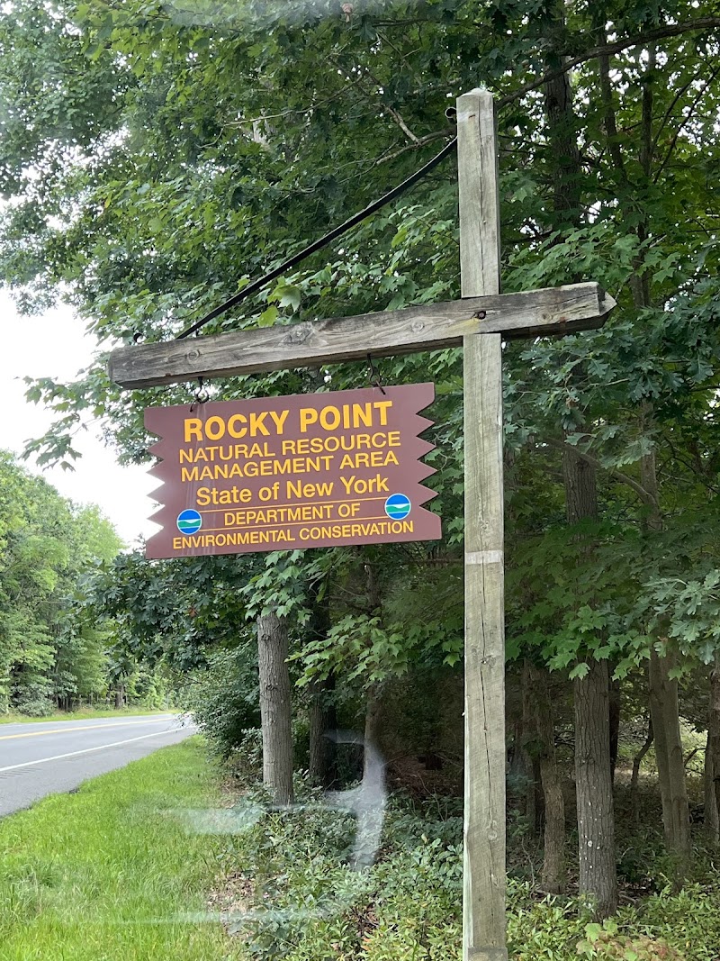 Rocky Point Mountain Bike Trail photo 3
