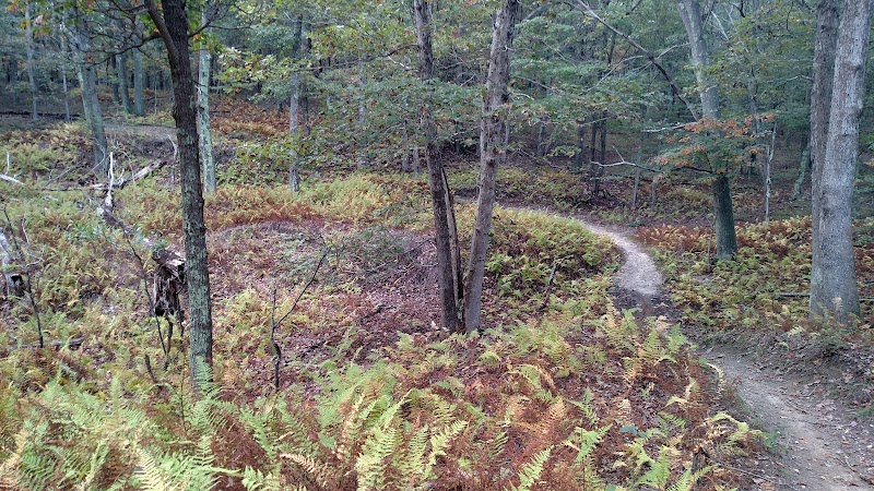Rocky Point Mountain Bike Trail photo 4
