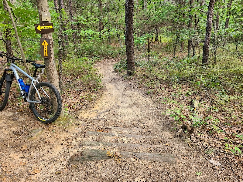 Rocky Point State Pine Barrens Preserve photo 2