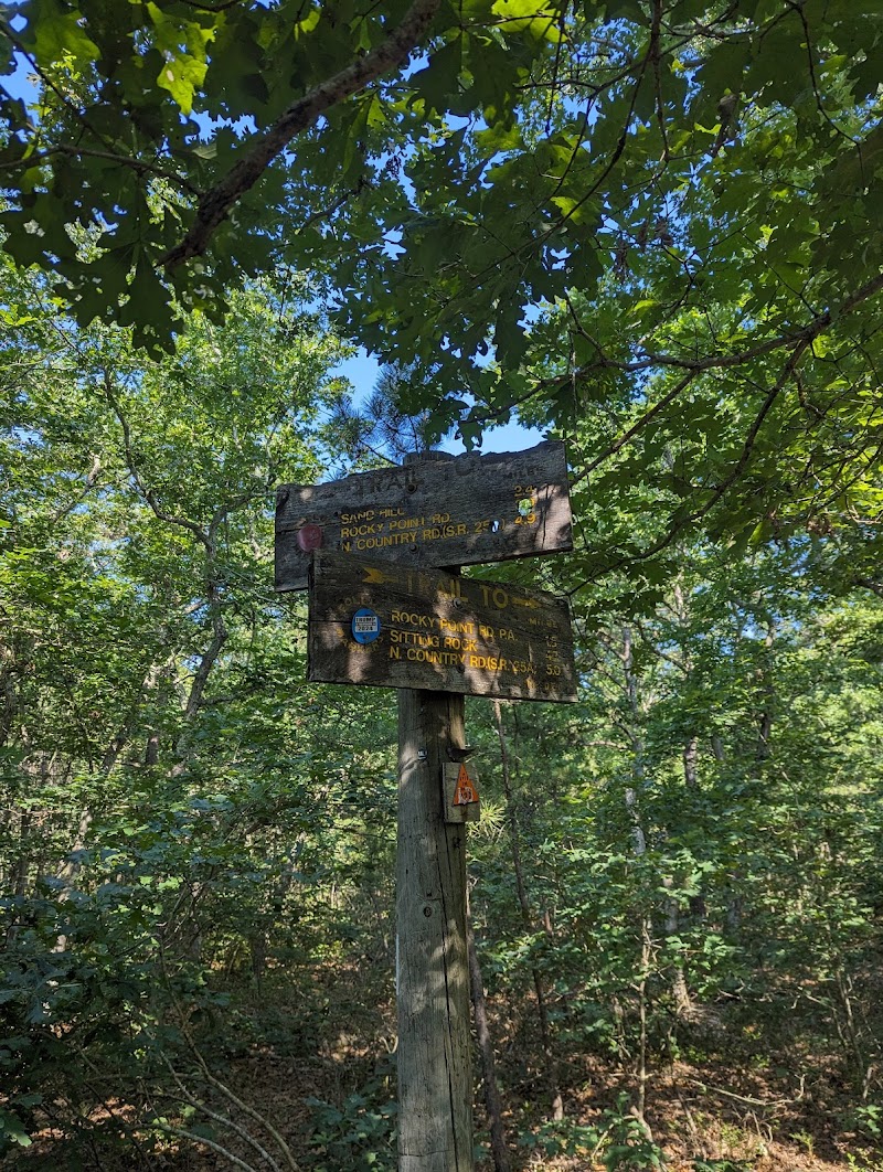 Rocky Point State Pine Barrens Preserve photo 3