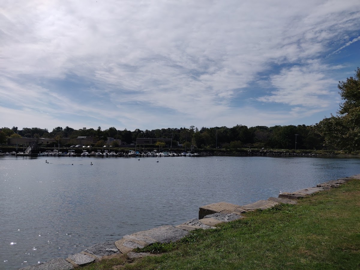 Roger Sherman Baldwin Park photo 2