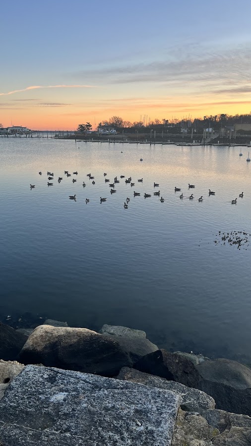 Roger Sherman Baldwin Park photo 3