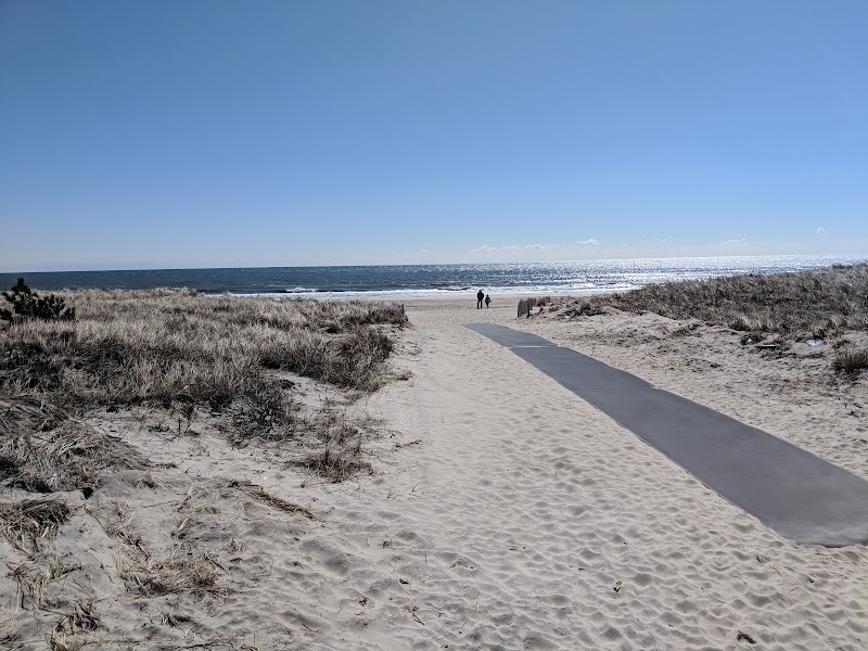 Rogers Beach photo 3
