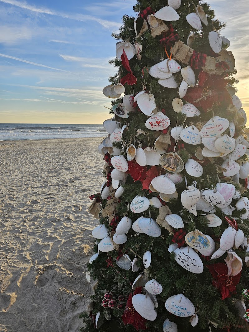 Rogers Beach photo 5