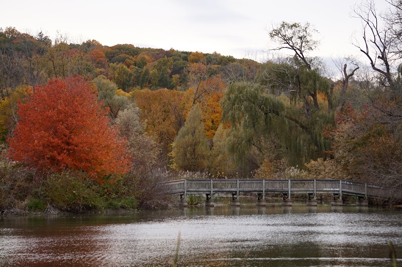 Rogers Park photo 5