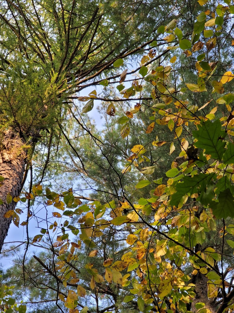 Rosa Hartman Park photo 5