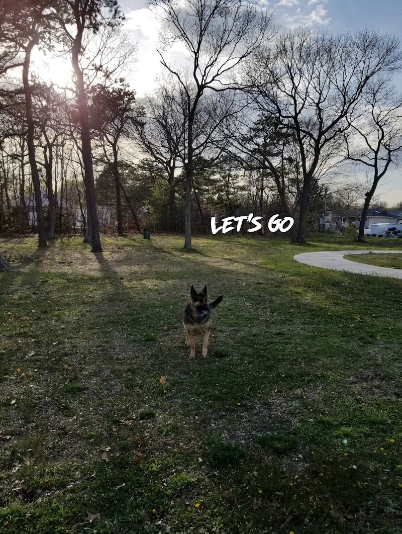 Rose Caracappa Park (Liberty Park) photo 4
