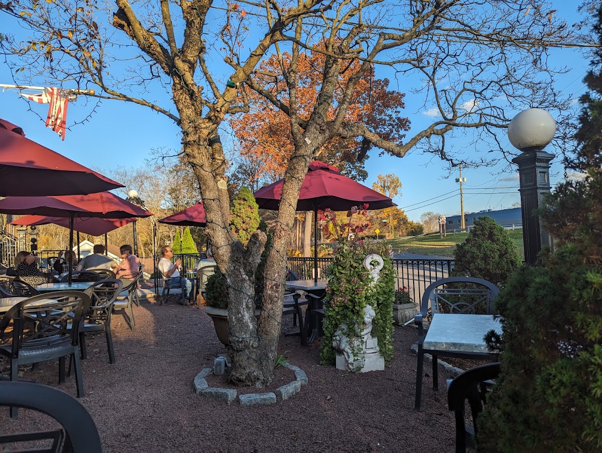 Rosy Tomorrow's photo 1