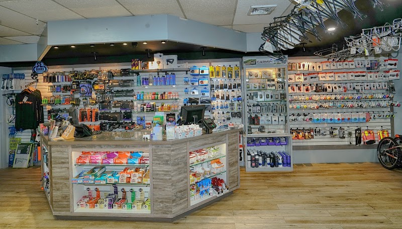 Rotations Bicycle Center photo 3