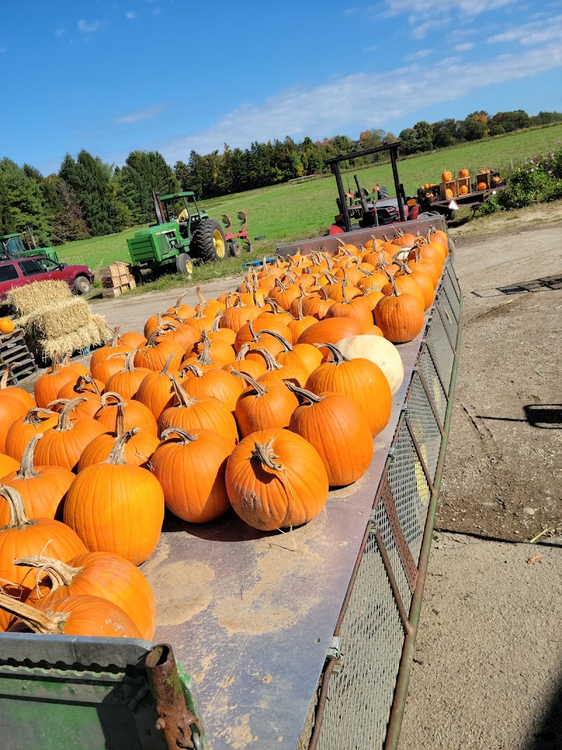 Rottkamp Brothers Farm photo 2