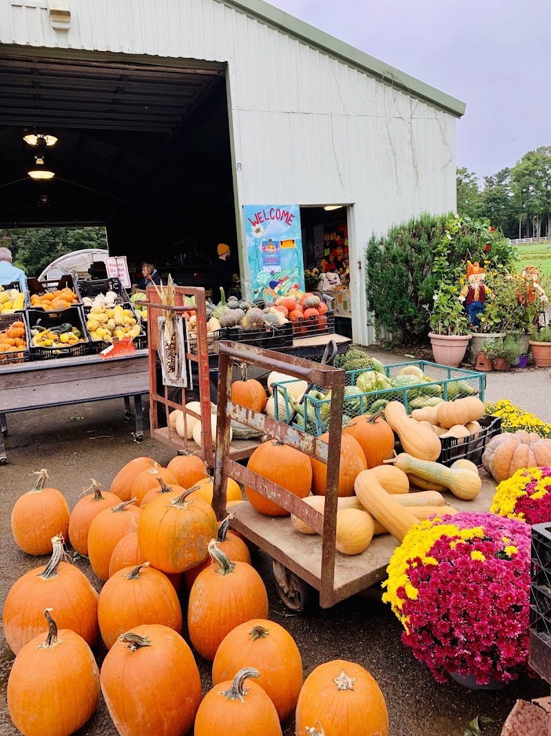 Rottkamp Brothers Farm photo 3