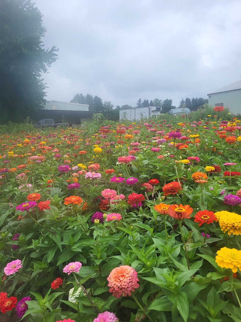Rottkamp Brothers Farm photo 5