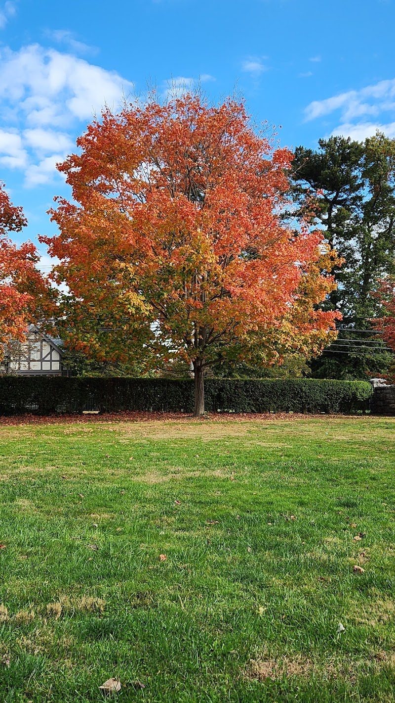 Rowayton Community Center photo 5