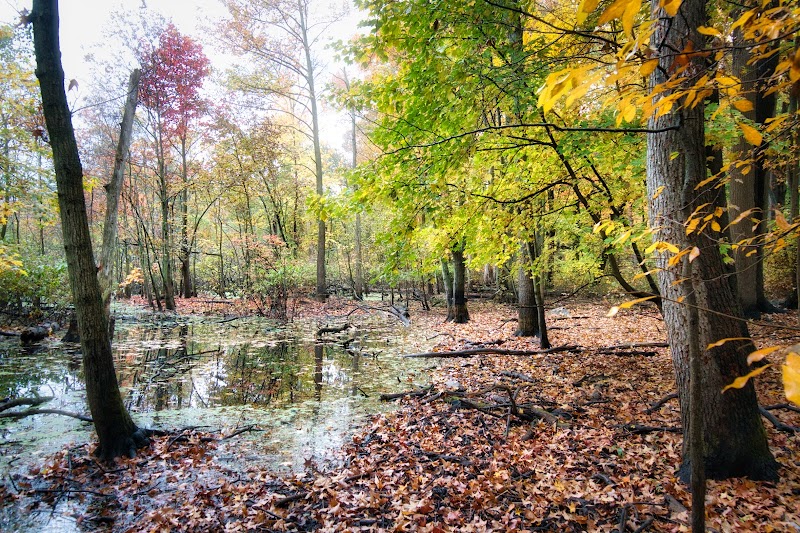 Rye Nature Center photo 3