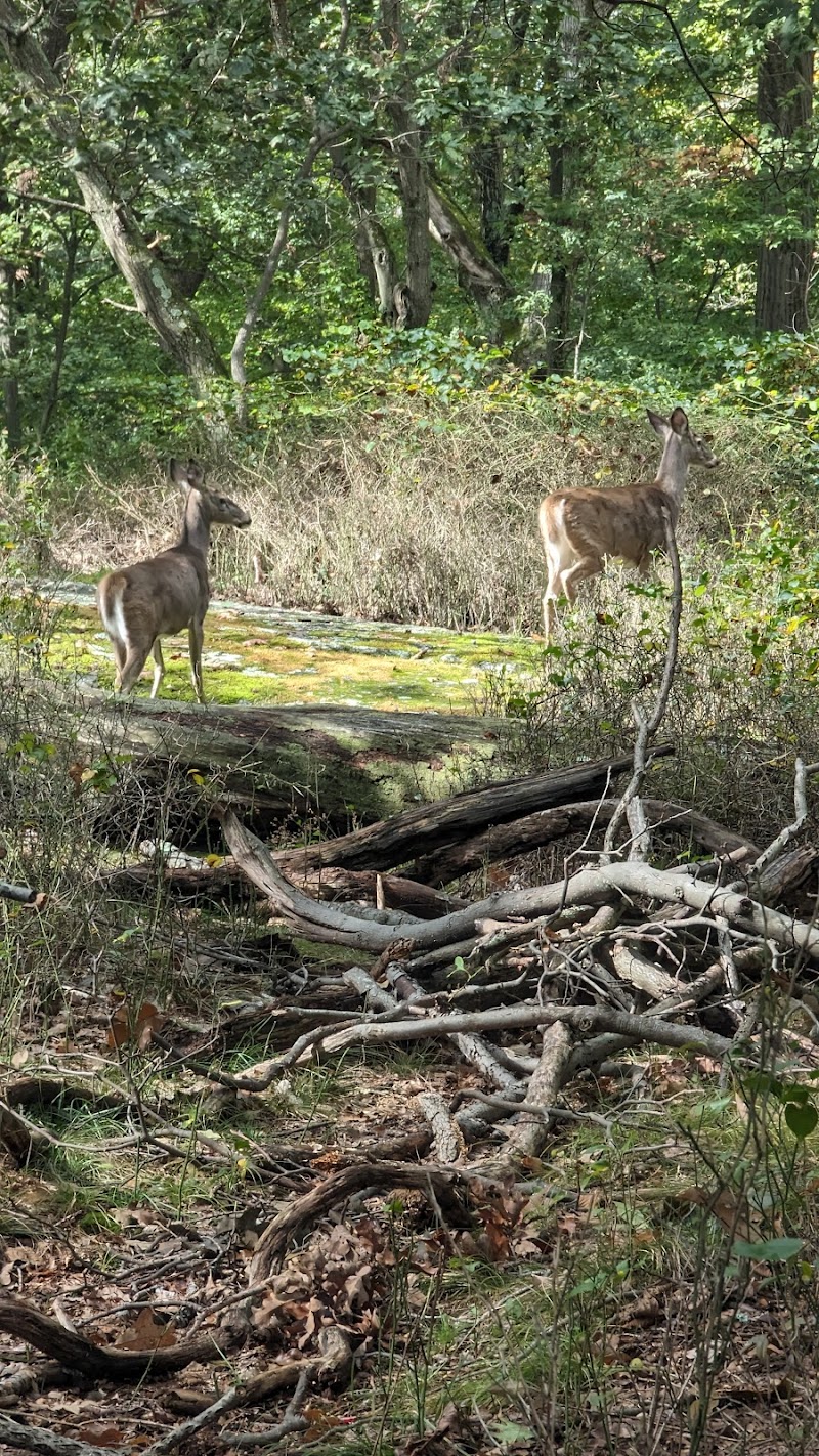 Rye Nature Center photo 4
